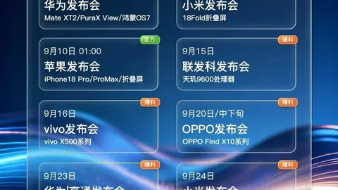 巴乙赛事回顾：4胜3负背后的真相，终极指南解析